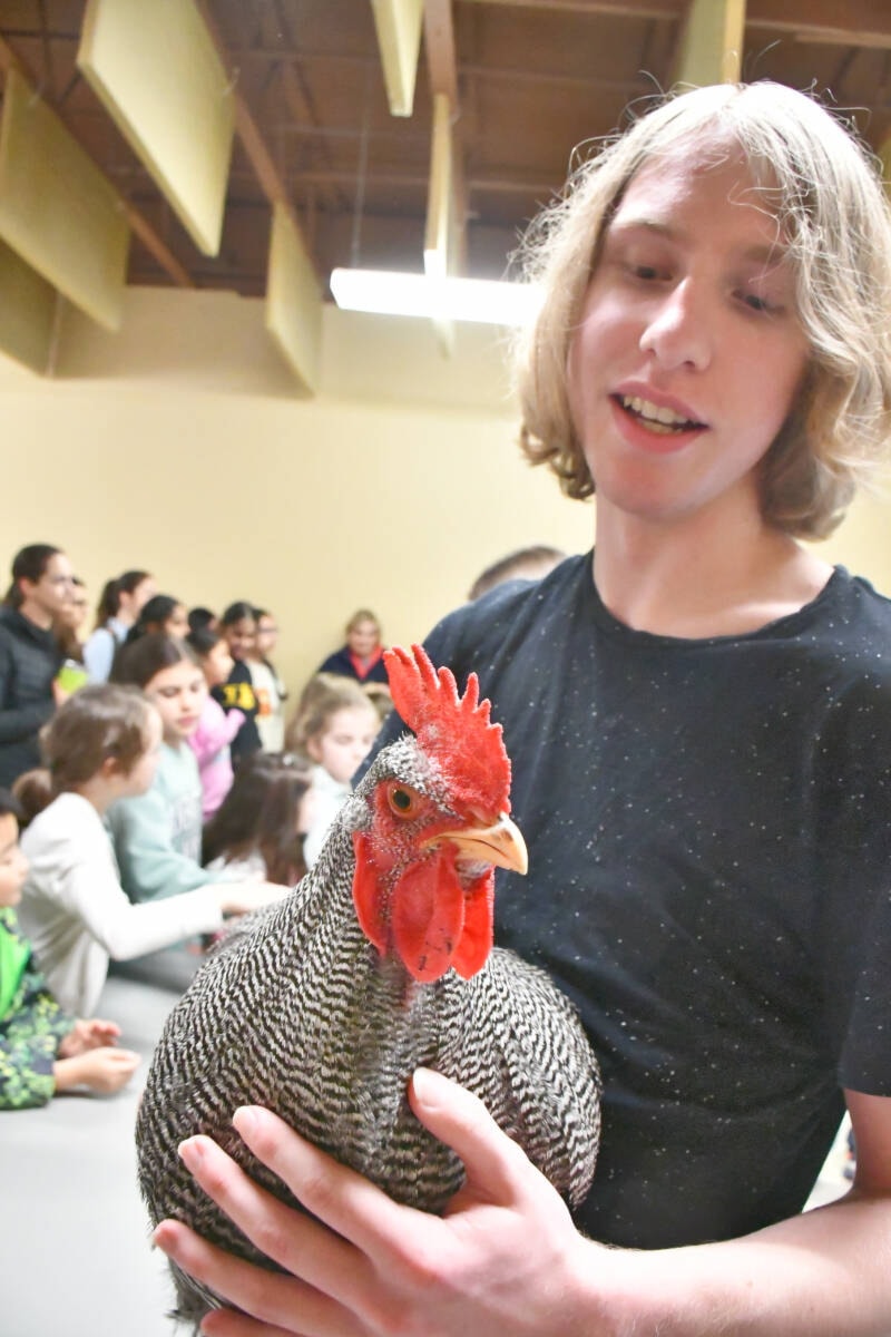 web1_240322-lat-hc-4-h_library-