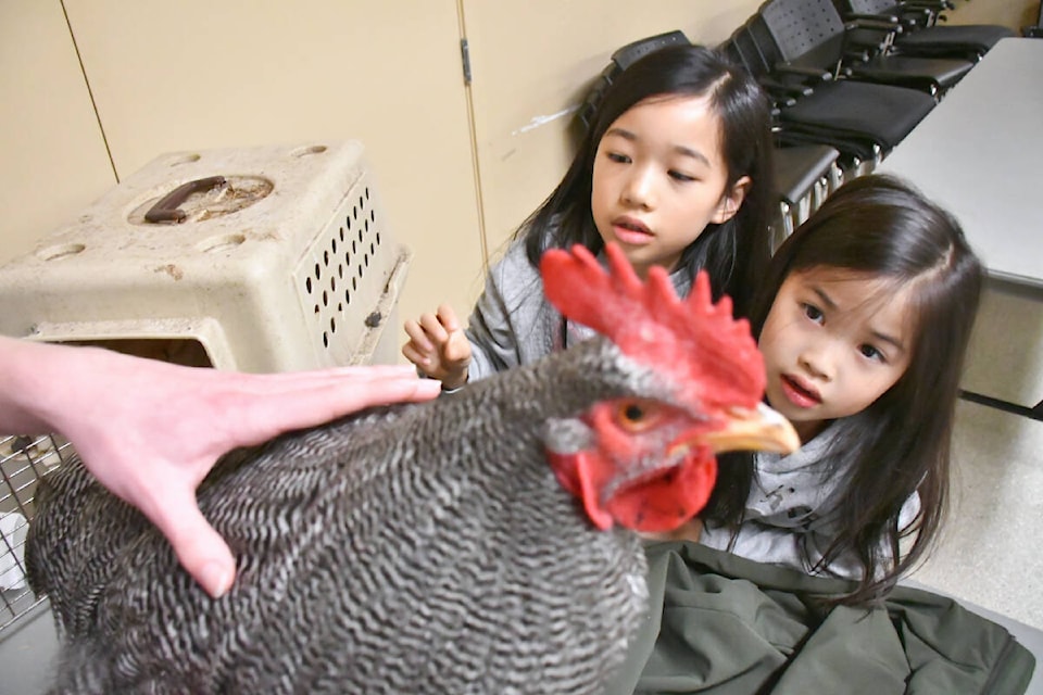 web1_240322-lat-hc-4-h_library-