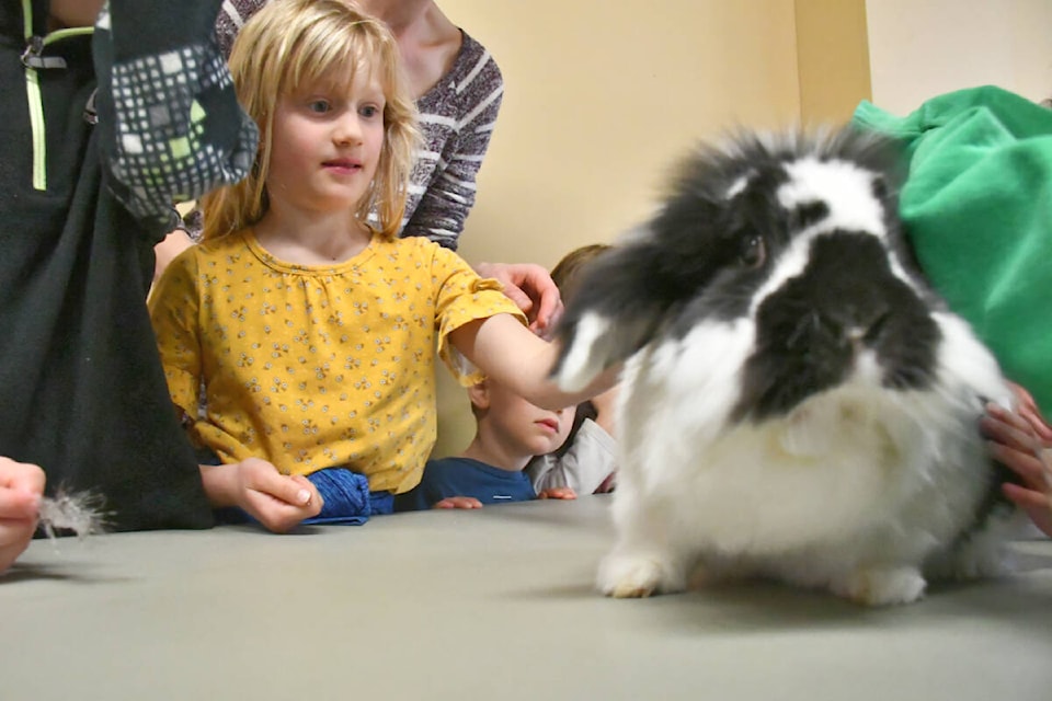 web1_240322-lat-hc-4-h_library-