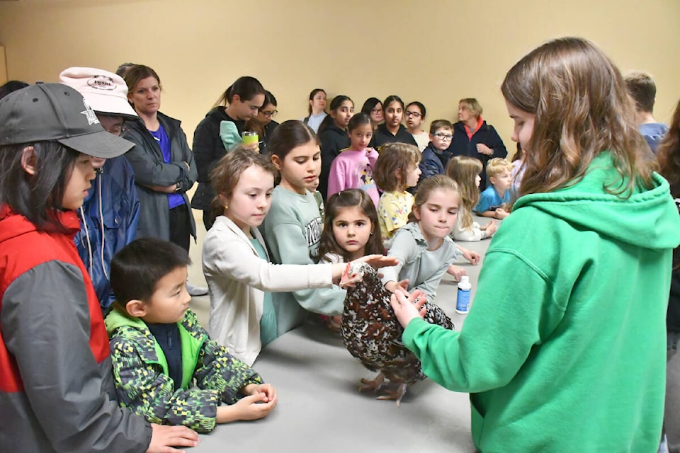 web1_240322-lat-hc-4-h_library-
