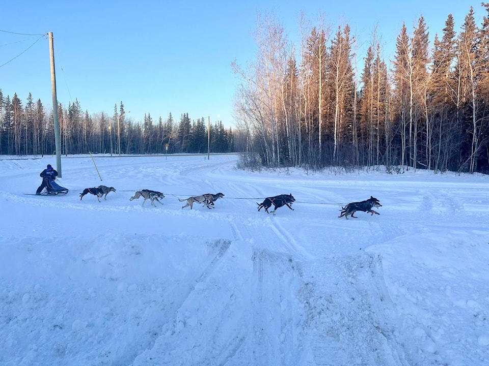 web1_240325-nno-tough-winter-for-mushers-beck_1