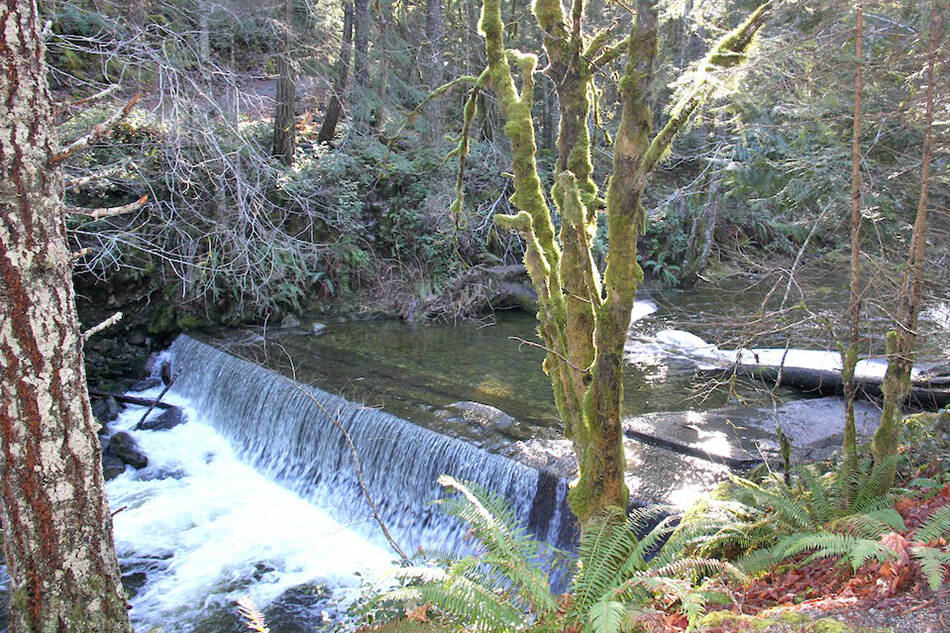 Ladysmith receiving $2.75 million for weir work along Holland Creek