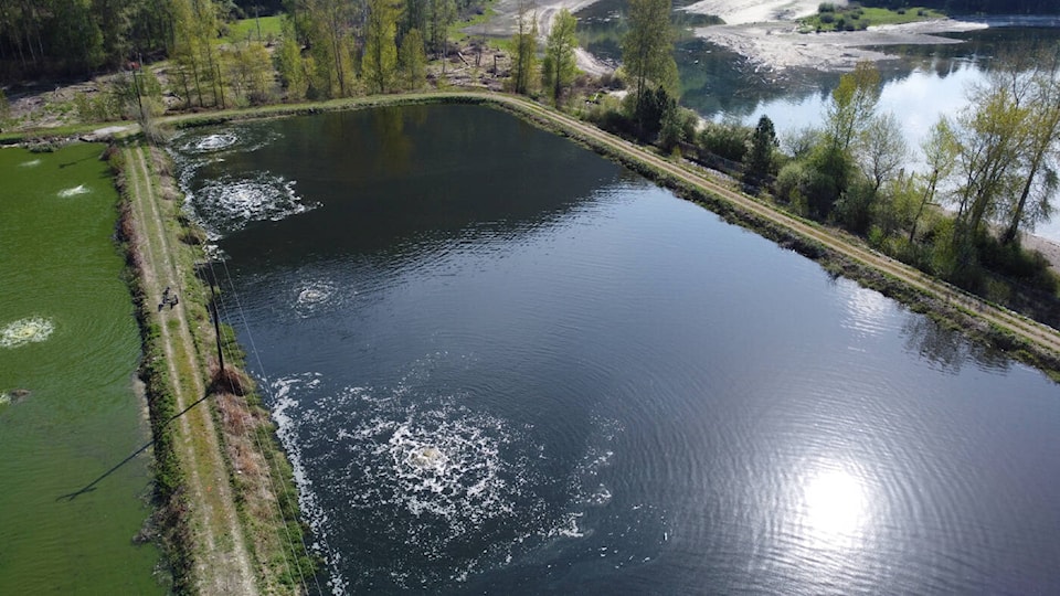 web1_240328-can-uv-filter-castlegar_1