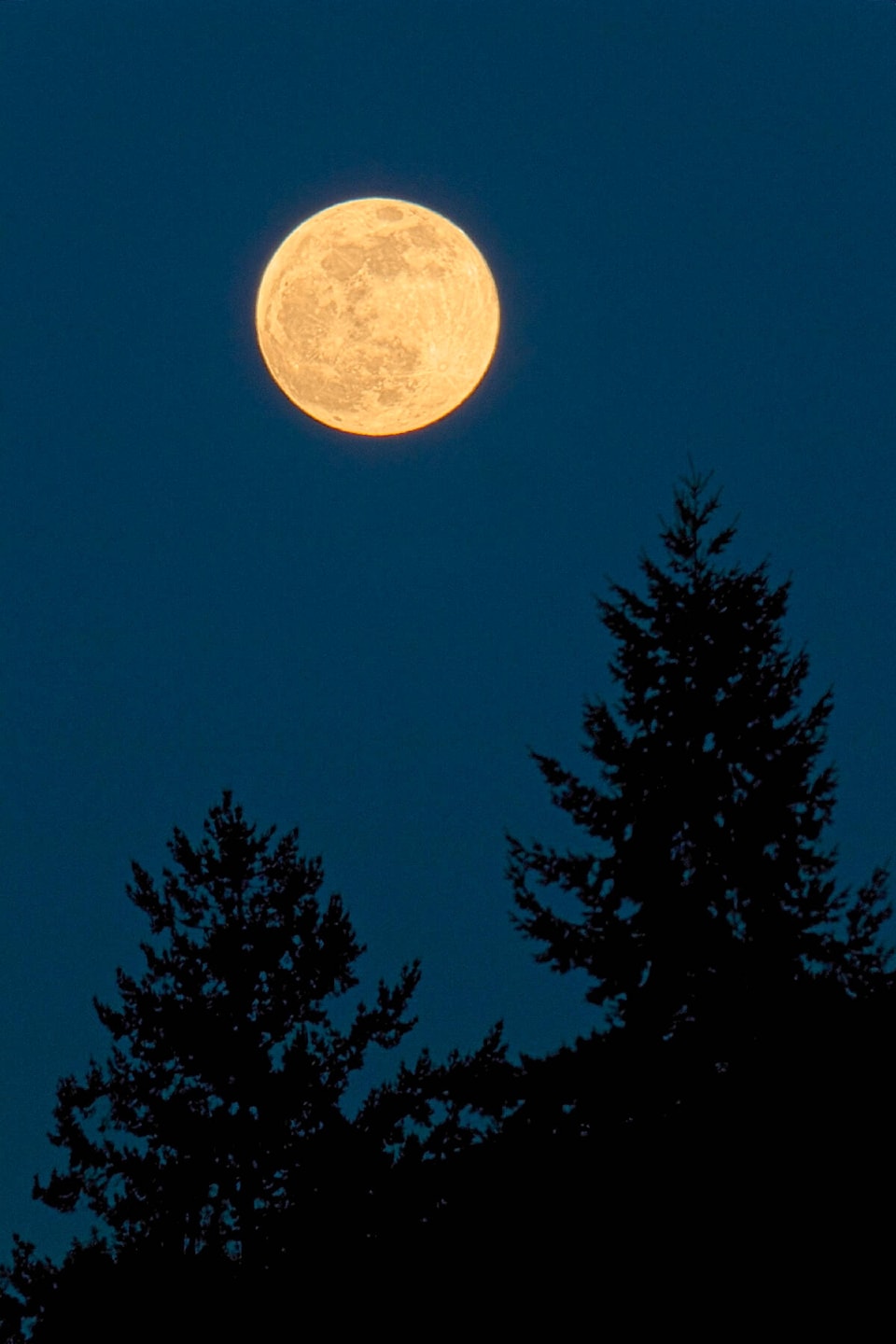 web1_240328-mrn-rh-lens-whitewormmoon--scott_2