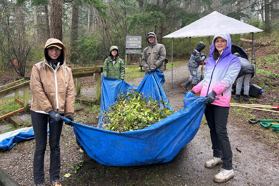 Three dozen volunteers pitched in to clear English ivy and English holly from White Rock’s Ruth Johnson Park on March 23, 2024.  (Lower Mainland Green Team photo) 