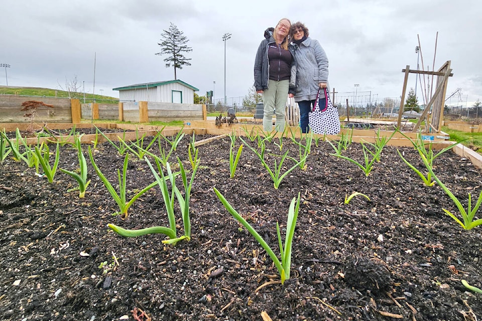 Planting has begun at the Aldergrove Community Garden. This year, the event will host ‘Seedy Saturday’ on MArch 30th for the first time, one week after the Langley seed and information swap. (Dan Ferguson/Langley Advance Times) 