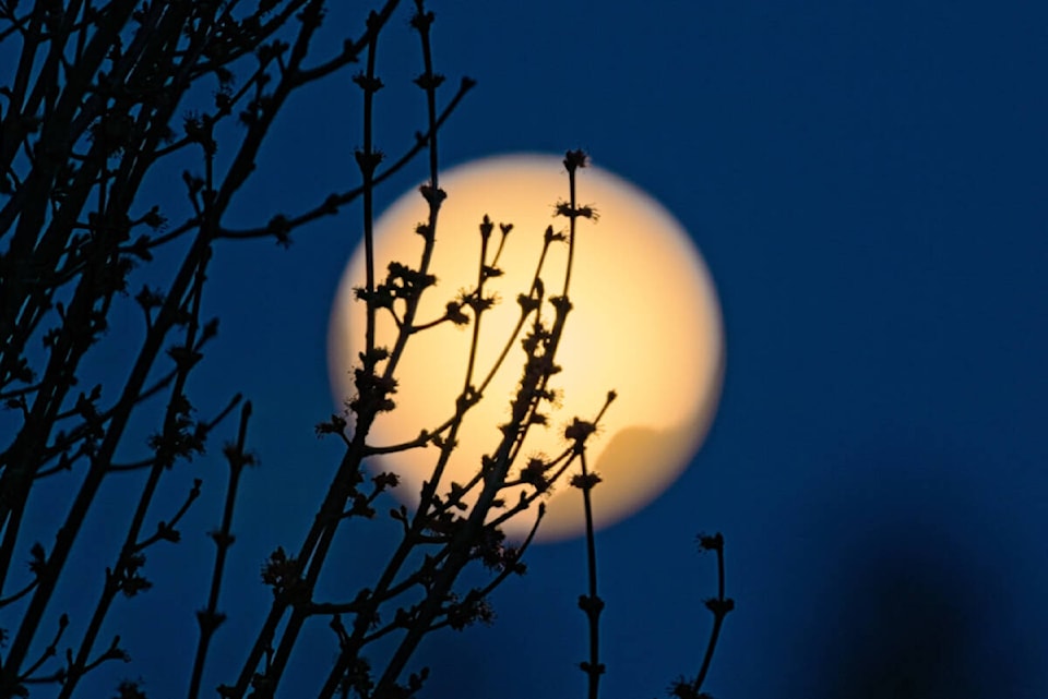 web1_copy_240328-mrn-rh-lens-whitewormmoon--scott_1