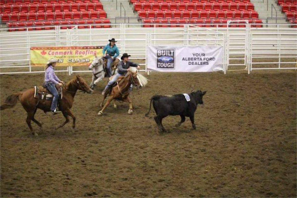 web1_rsz-cattle-penning-in-calgary-russ2640_n