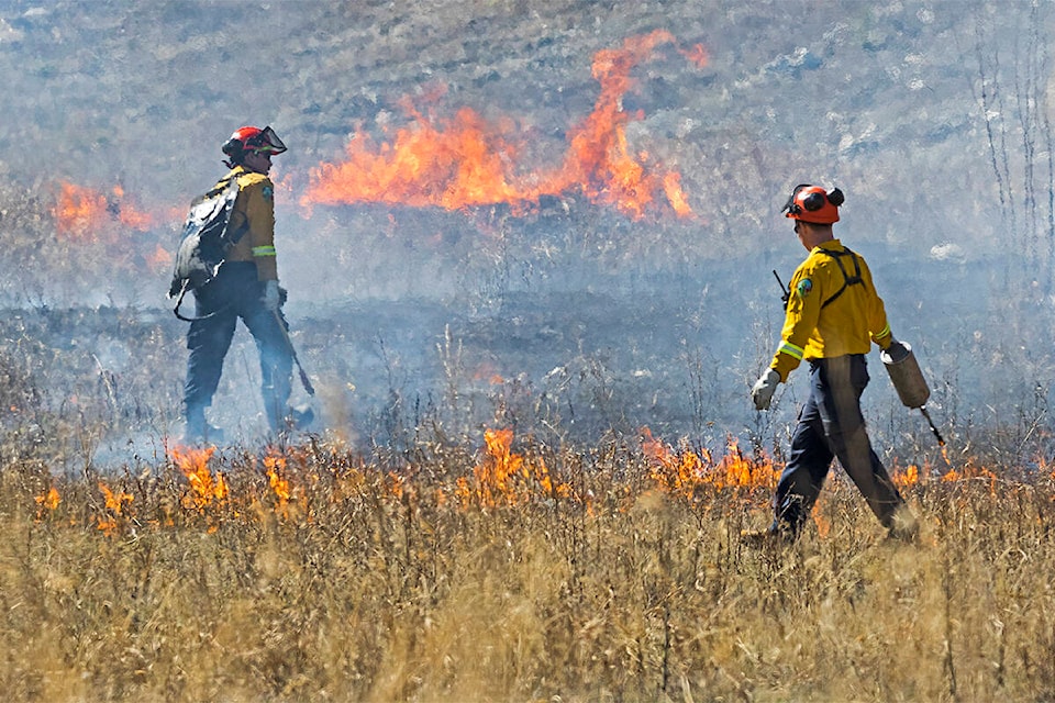 web1_051618_controlled-burn_009wb