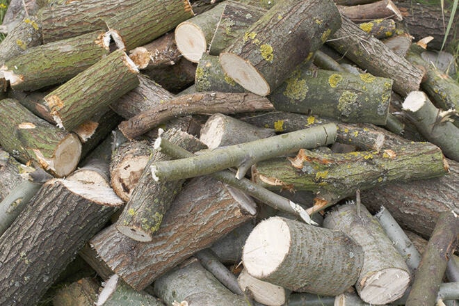 web1_171004-pwn-wood-t