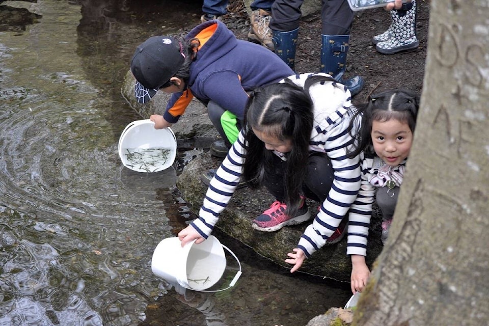 web1_190503-ndr-m-watershed-fish-release-p