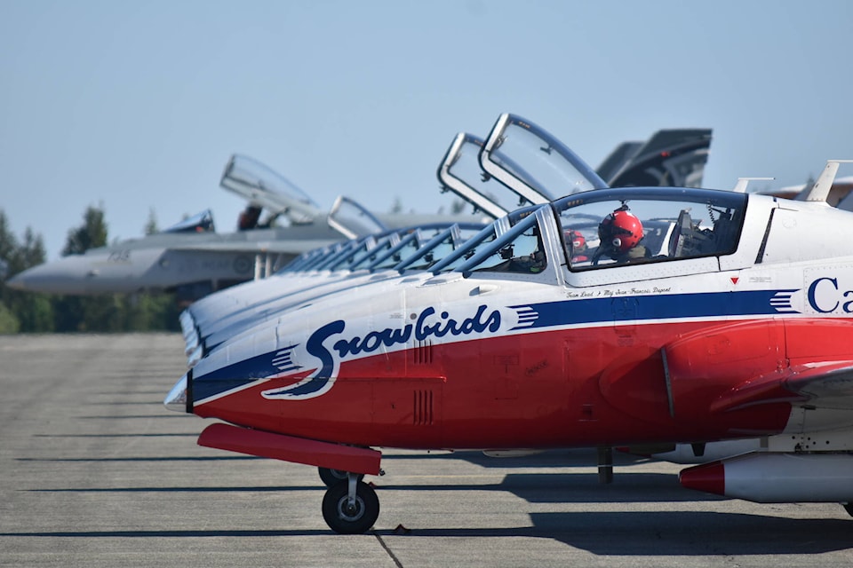 web1_210526-cvr-snowbirds-birds_1