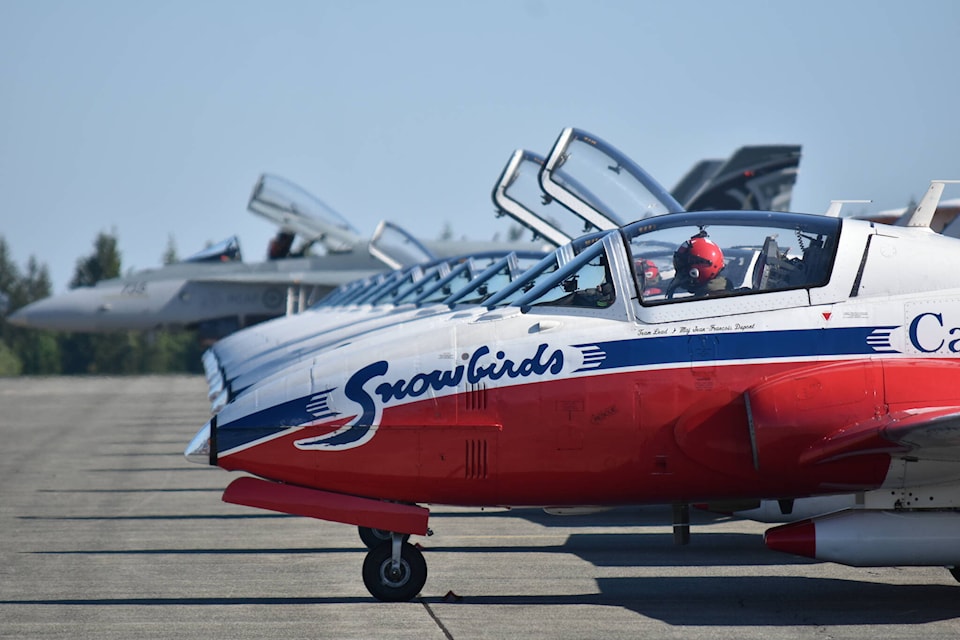 web1_210526-cvr-snowbirds-birds_1