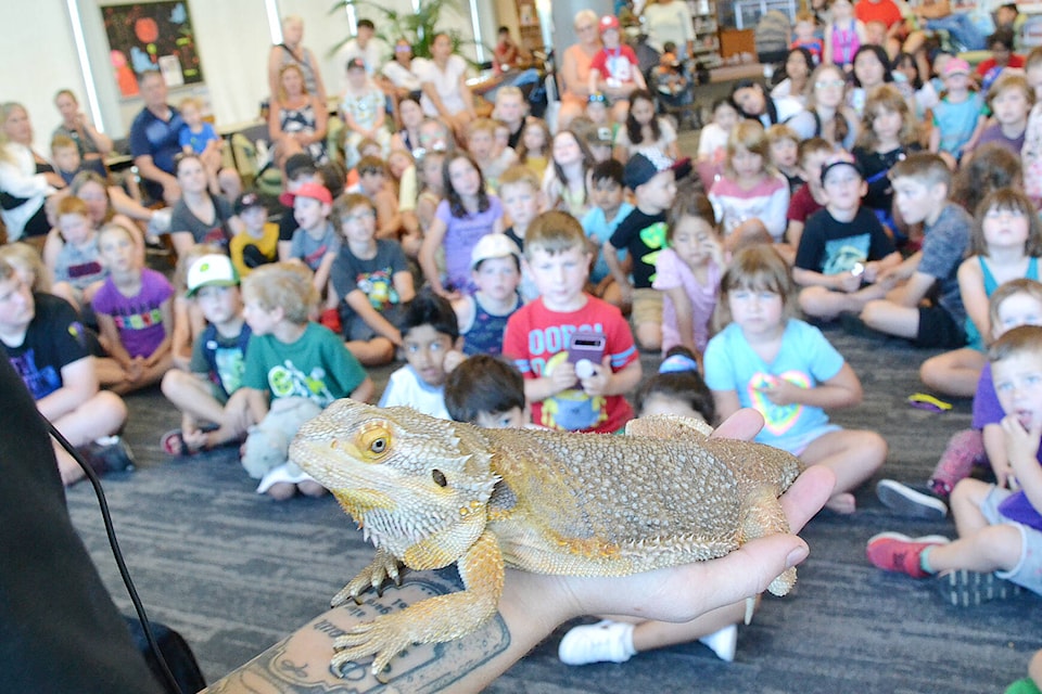 Nikk Raun with Urban Safari Rescue Society holds a bearded dragon lizard named Toby during a July 2023 presentation. (Colleen Flanagan file photo) 