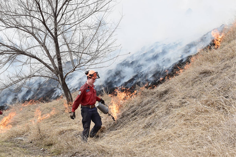 web1_240319-wlt-prescribed-burns-in-city_7