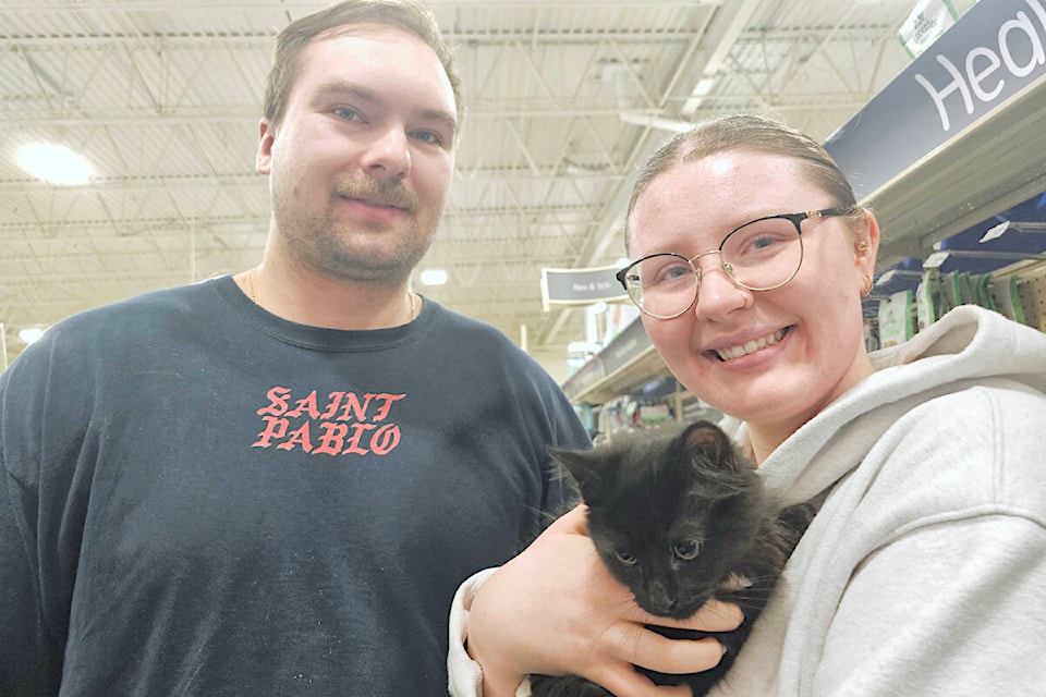 Brookswood residents Joe Woykin and Katelin Hennessy with Smarties, a 12-week old kitten up for adoption by the Canadian Animal Rescue and Extended Shelter (CARES) at the 91ԭ PetSmart store on Saturday, March 23rd. (Dan Ferguson/91ԭ Advance Times) 