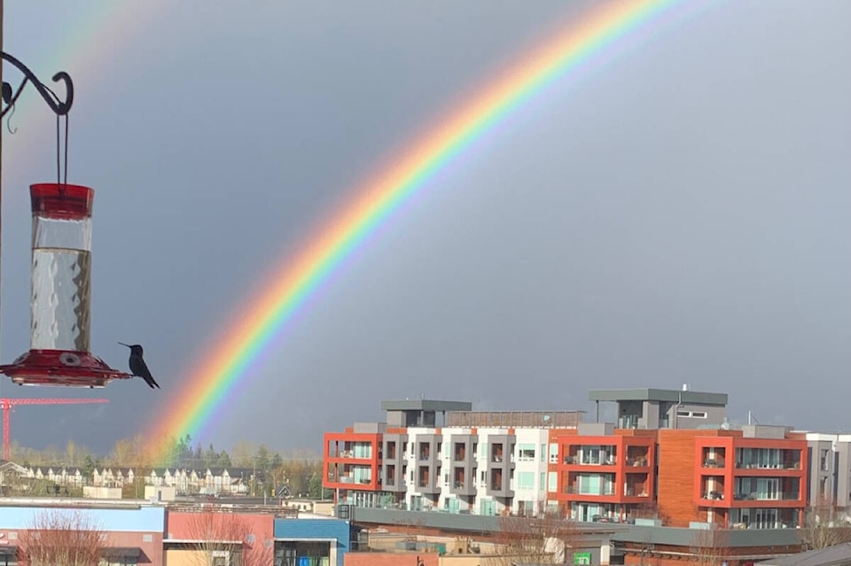 web1_240328-lat-rh-lenswindrainbows-hilda_1