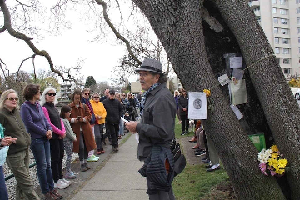 Steven Ross Smith takes the lead in a farewell event the afternoon of April 1 in anticipation of an old, dangerous oak set for removal in Oak Bay. (Christine van Reeuwyk/News Staff) 