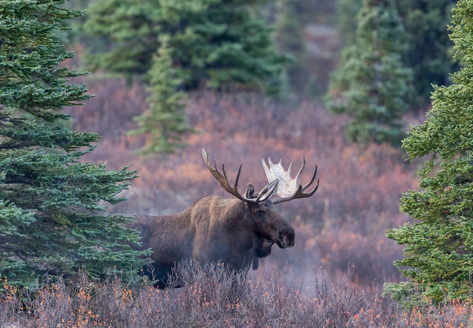 web1_240404-wct-yukontravel_1