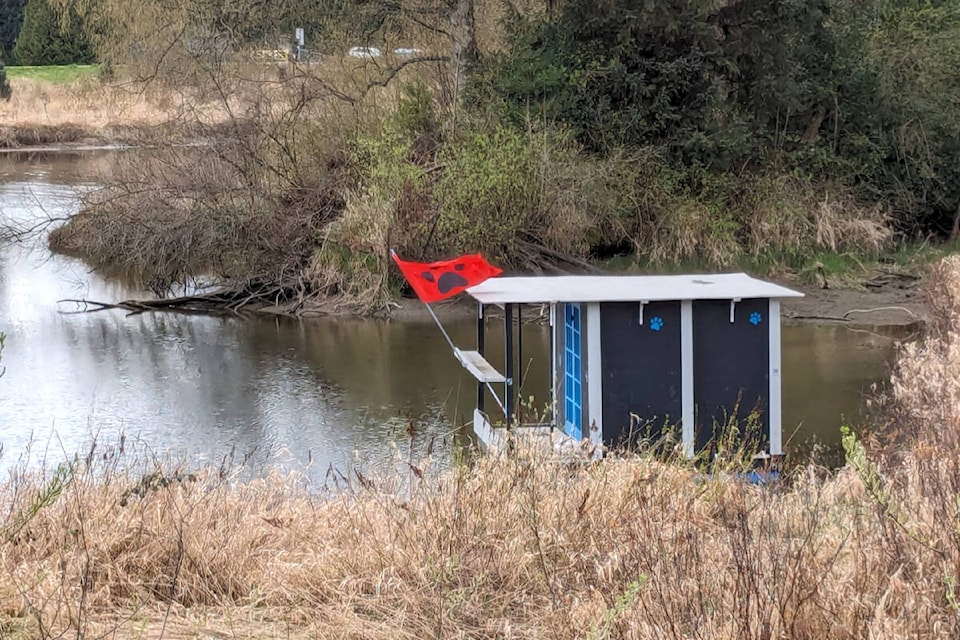 An empty structure was seen floating down the Alouette River in Pitt Meadows, with rumours that it might be turned into some kind of pet hotel. (Sally Felgnar/Special to The News) 