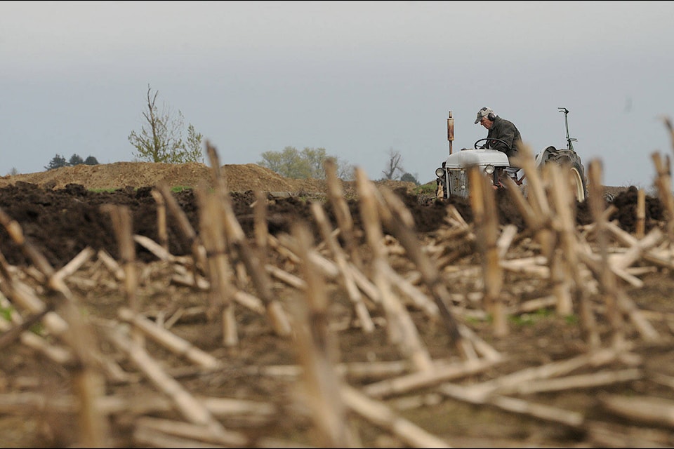 A farmer competes in the 102nd annual Chilliwack Plowing Match at Greendale Acres on Saturday, April 6, 2024. (Jenna Hauck/ Chilliwack Progress) 