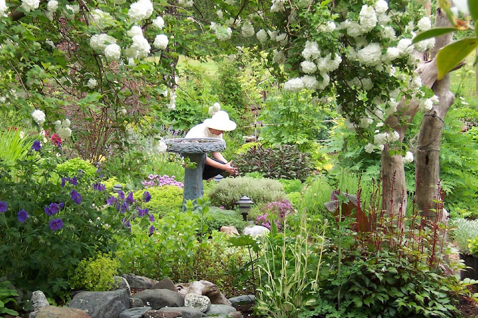 The photo shows our Duchess of Dirt, Leslie Cox, tending to her herb garden. Photo by John Cox.  