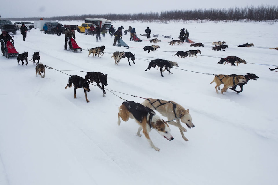 web1_240411-inu-muskratjamboree-_8