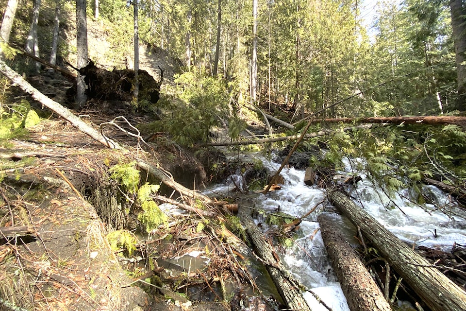 web1_240411-vms-washout-bx-trail_1