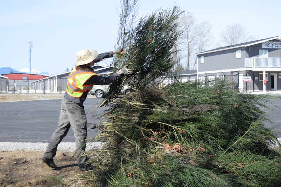 web1_240417-avn-broombusters-alberni_2
