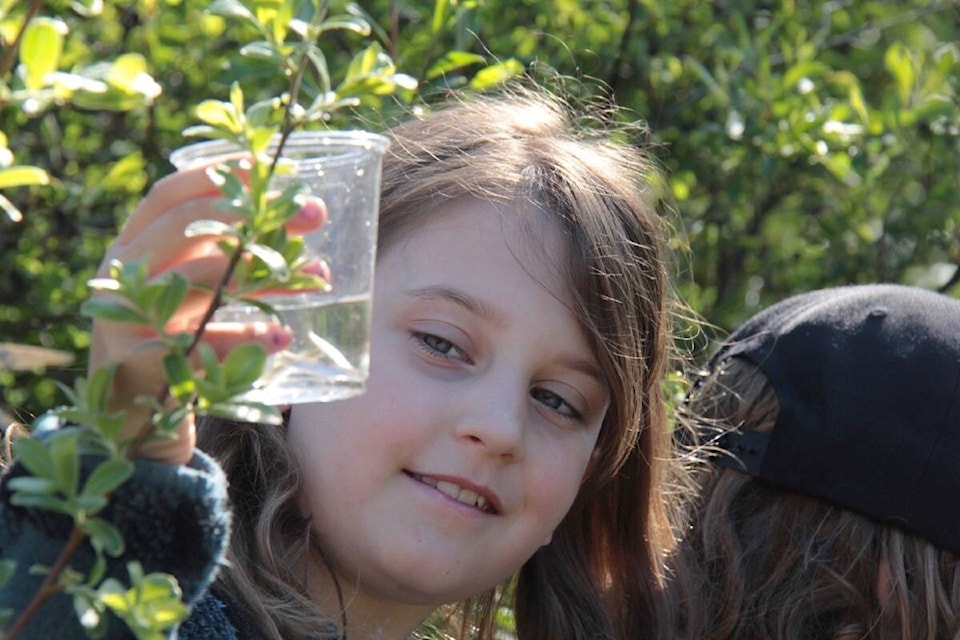 Willows elementary student Charlotte Fraser and her fry bobcat, sparky and sparkles ahead of their release into Bowker Creek on April 17. (Christine van Reeuwyk/News Staff) 