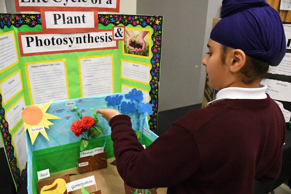 Avneet Singh Sandhu from Dasmesh Punjabi School presents his project on plant photosynthesis at the Fraser Valley Regional Science Fair at UFV. (Ryleigh Mulvihill/Abbotsford News) 