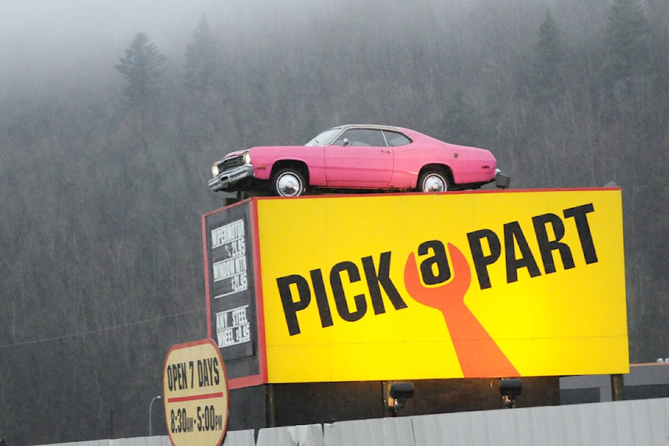 web1_240418-acc-chilliwack-pink-car-print-pickapart_1