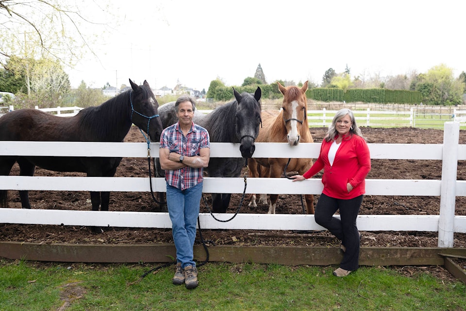 Mark and Sandy Zalit stand with their beloved horses at their home in Cloverdale. The couple are selling and moving away after living in Cloverdale for nearly 40 years. (Photo: Jason Sveinson) 