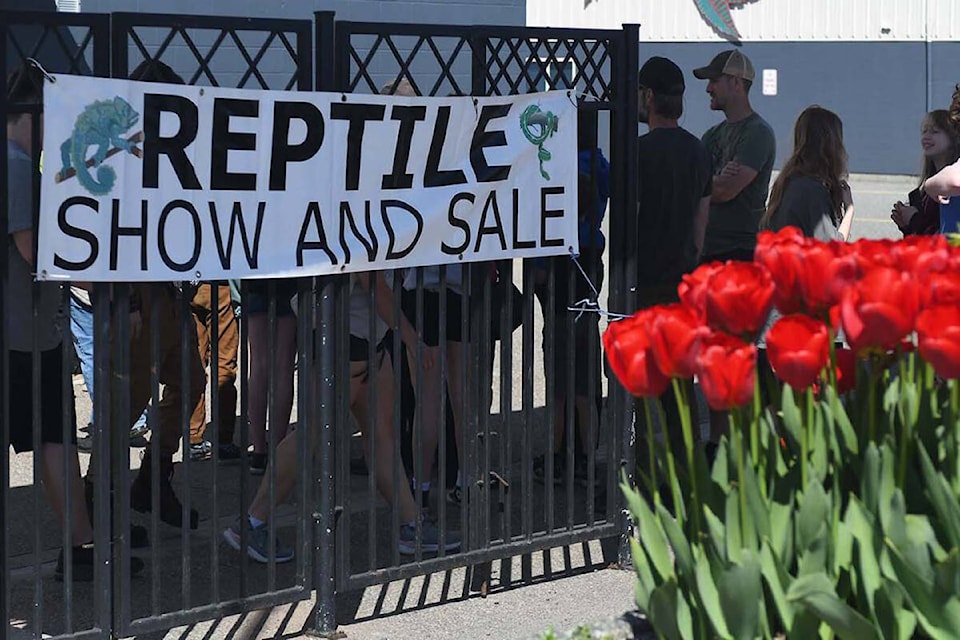 BC Reptile Club Spring Expo 2024. (John Morrow/Abbotsford News) 
