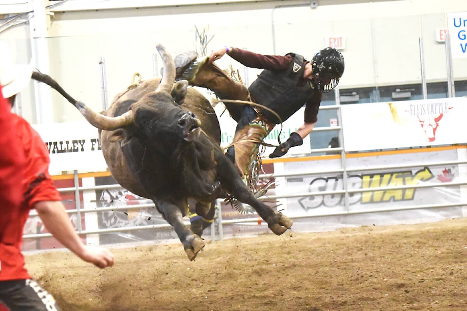 The bulls came out the winners in Day 2 of the 2024 Spring Indoor Classic Rodeo in Williams Lake April. (Angie Mindus photos/Williams Lake Tribune) 