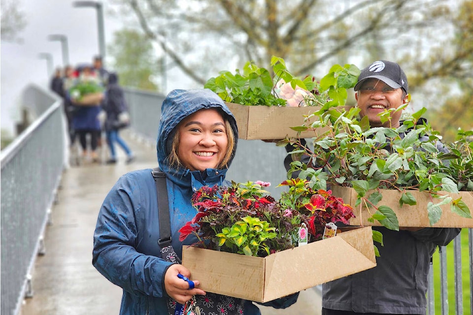 Gardeners used the pedestrian walkway to get into Kwantlen Polytechnic University’s greenhouses on Saturday, April 27, for the annual KPU School of Horticulture plant sale in Langley. (Dan Ferguson/Langley Advance Times) 