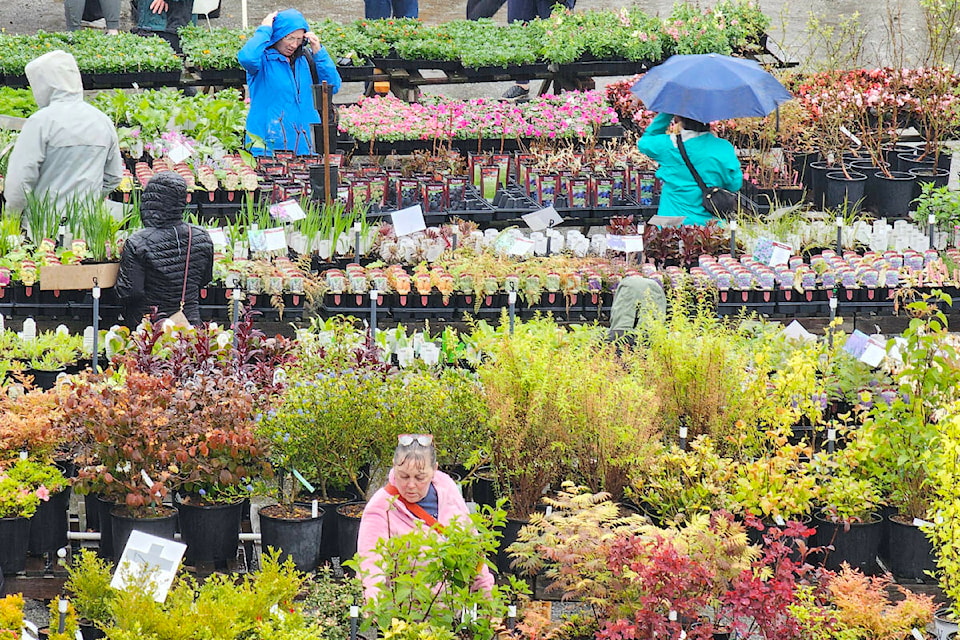 web1_240428-lat-df-gardening-season-begins_2
