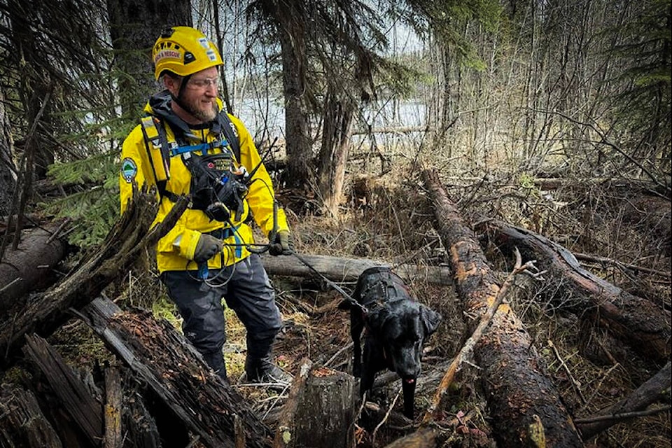 COSAR’s scent detection dog Barrett has been aiding in the search for Alan Francescutti . (COSAR/Submitted) 