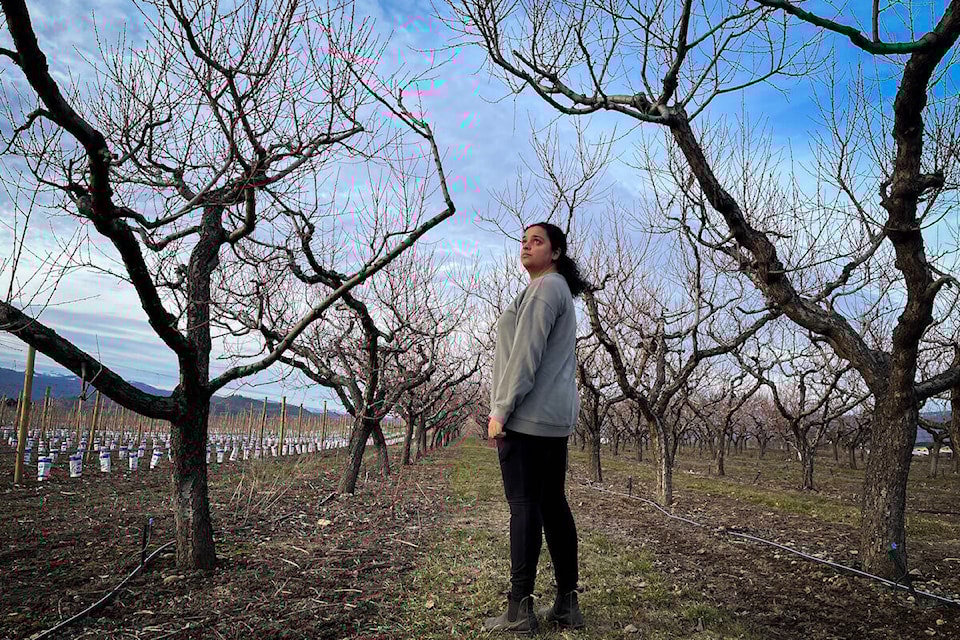 Jennifer Deol of There and Back Again Farms in 91Ѽ standing amongst her peach trees, which are not expected to yield any fruit this year. (Jacqueline Gelineau/Capital News) 