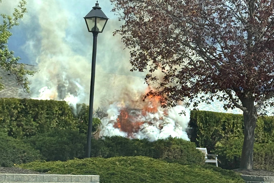 A hedge fire next to Spruce Landing was sparked around noon Monday, April 29. (Jules LeRoux - Morning Star) 