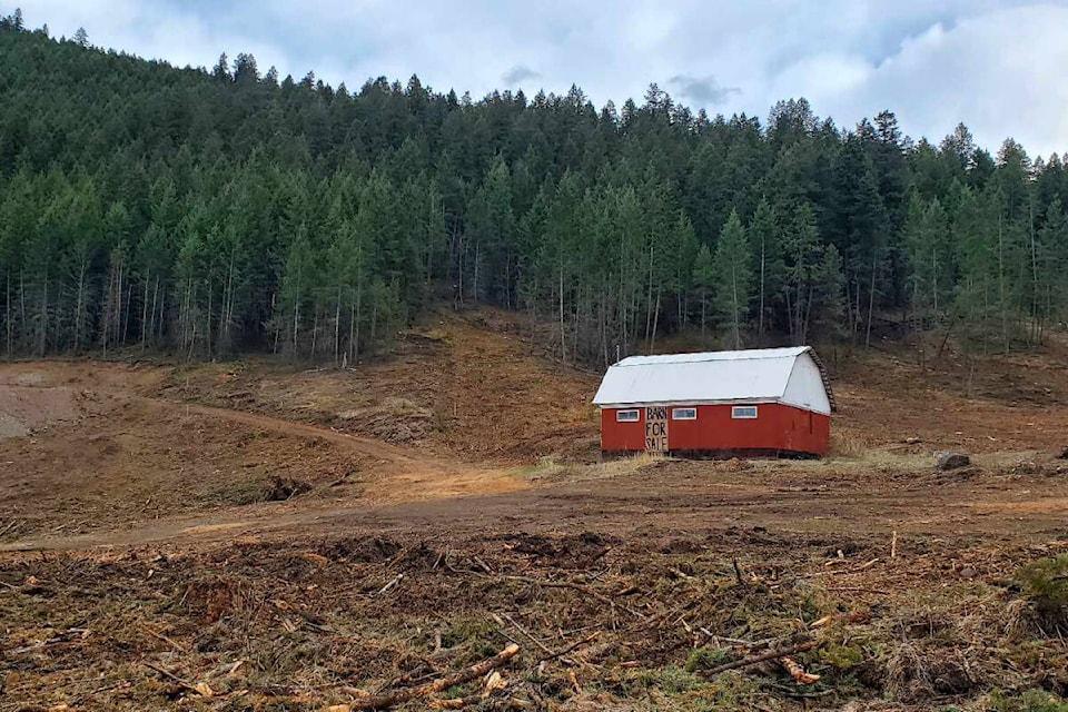 Owners of a property in the 1700 block of South Lakeside Drive are asking the city of Williams Lake for a zoning amendment to allow for the development of 9 lots at the site for building new homes. (Monica Lamb-Yorski photo - Williams Lake Tribune) 