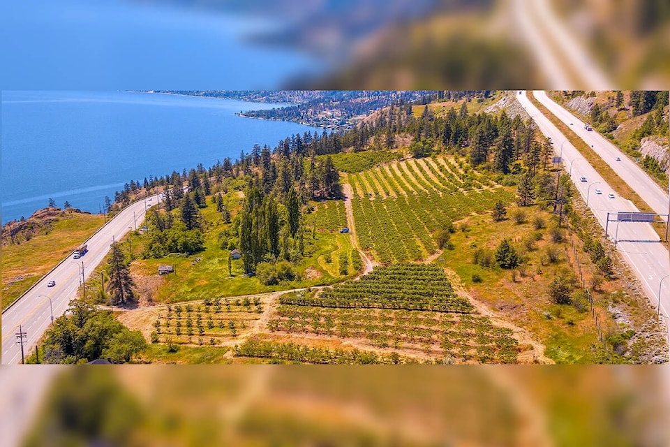 Developer New Monaco is proposing a major housing project in Peachland between Highway 97 and the Connector. (Photo: New Monaco) 