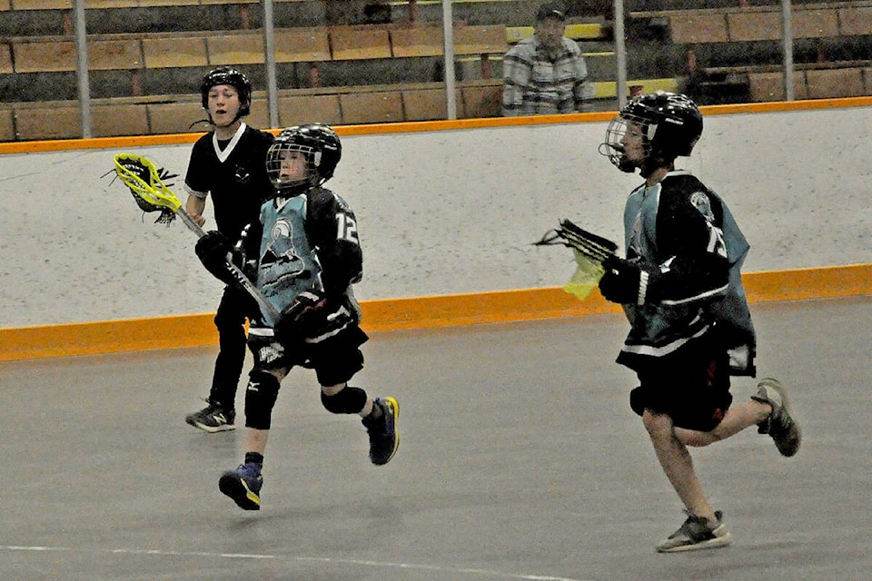 web1_190512-wlt-bighorns9