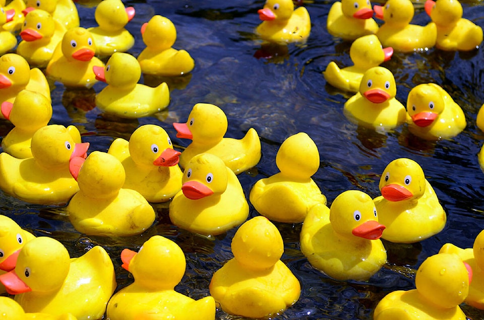 web1_200520-cvr-n-ducky500-1_1