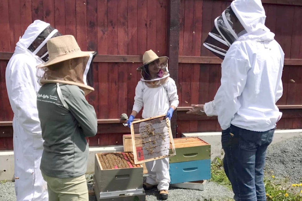 Langley Bee Club often hosts field days, where members are actually able to visit apiarys and work with the bees and share knowledge with other like-minded bee lovers. (Special to The Star) 