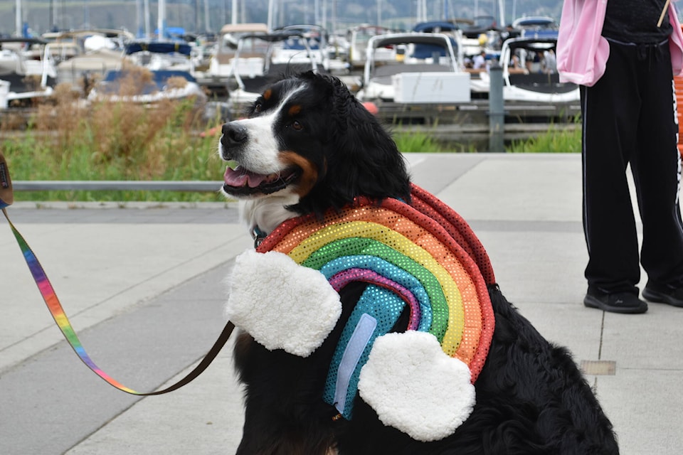 web1_230615-kcn-pride_9