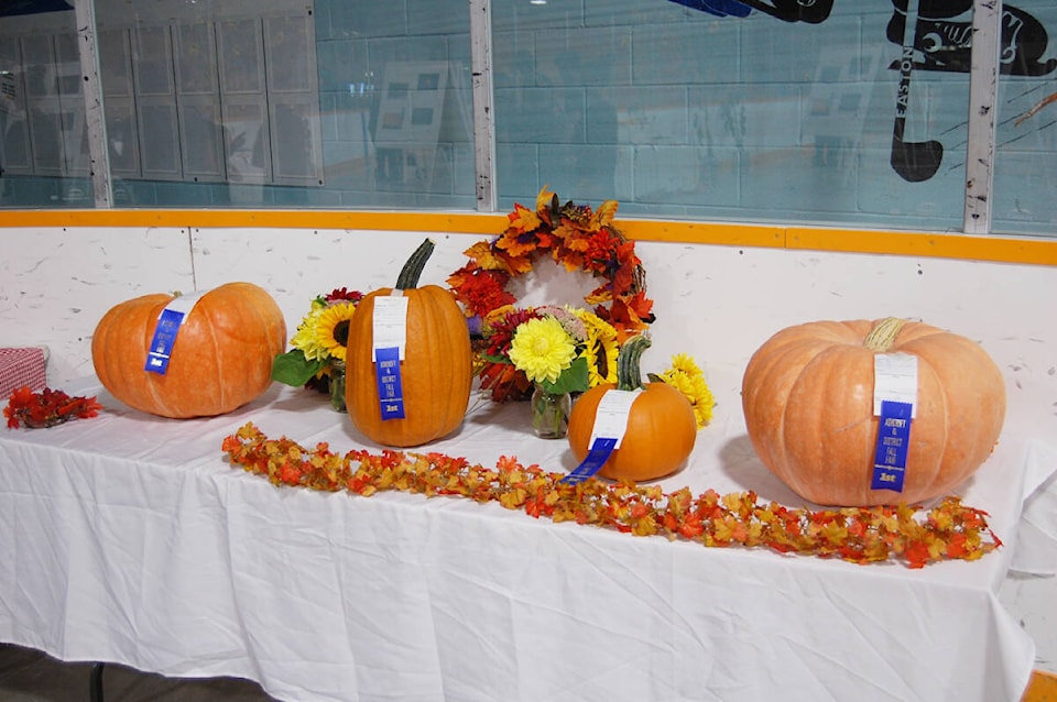 web1_230914-acc-standalone-pics-fall-fair-fallfair_5