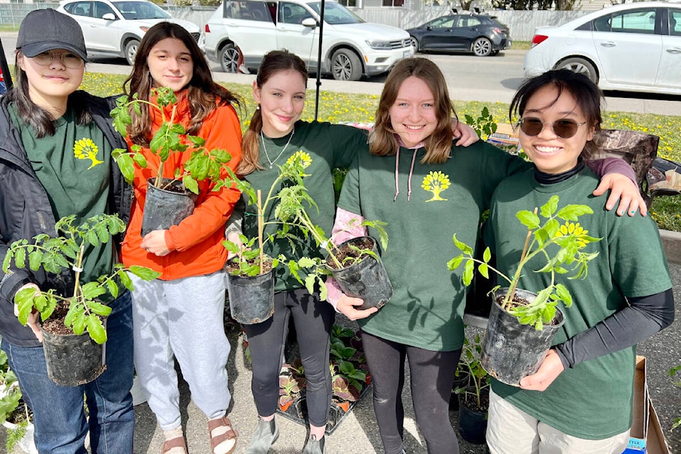Evelyn Lee, Hannah Maas, Isabelle Cameron, Kaitlyn Brown and Ivy Nguyen sell their prized tomato plants at the early bird Farmers’ Market Saturday (May 4) as members of Lake City Secondary School’s Grow Operators. (Angie Mindus photo - Williams Lake Tribune) 