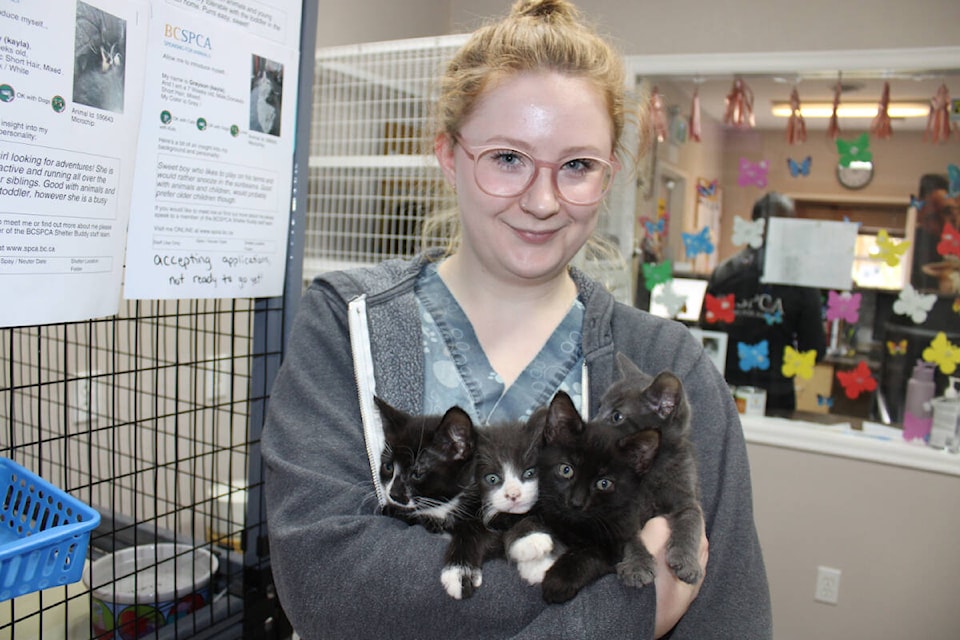 web1_240501-avn-spca-open-house-alberni_1