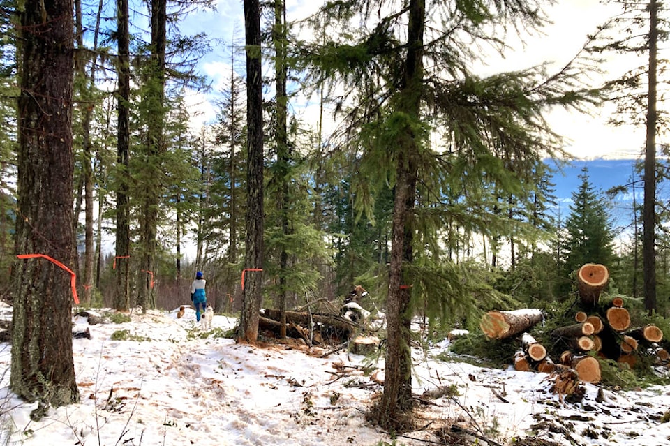 web1_240502-ntc-letter-wells-gray-outdoors-to-wgcftrees_1